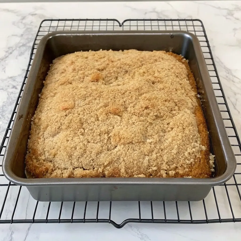 Cowboy Cake: The Original, Easy, Old-Fashioned Recipe cowboy cake Cowboy Cake: The Original, Easy, Old-Fashioned Recipe baked cowboy cake in pan