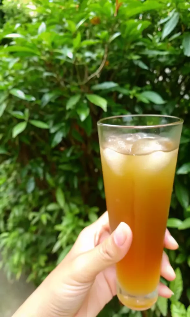 The Authentic Costa Rican Tea Recipe for Weight Loss (A Blue Zone Secret) costa rican tea recipe for weight loss A tall glass of icedcosta rican tea recipe for weight loss tea held in hand with fresh garden greenery in the background